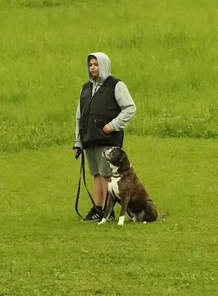 Bild von Halter mit Hund